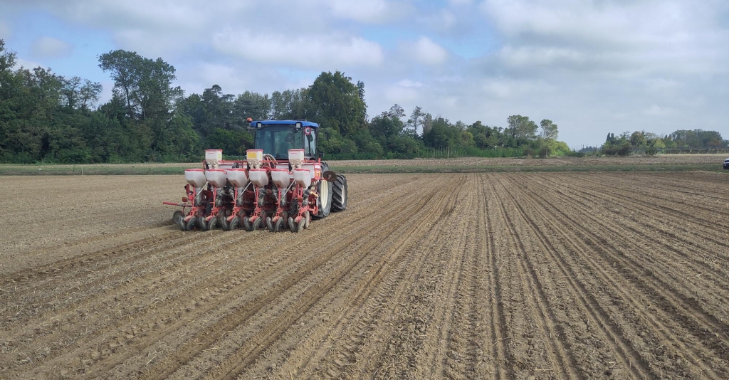 inpage-Field Trials in Action Updates from Italy and Serbia