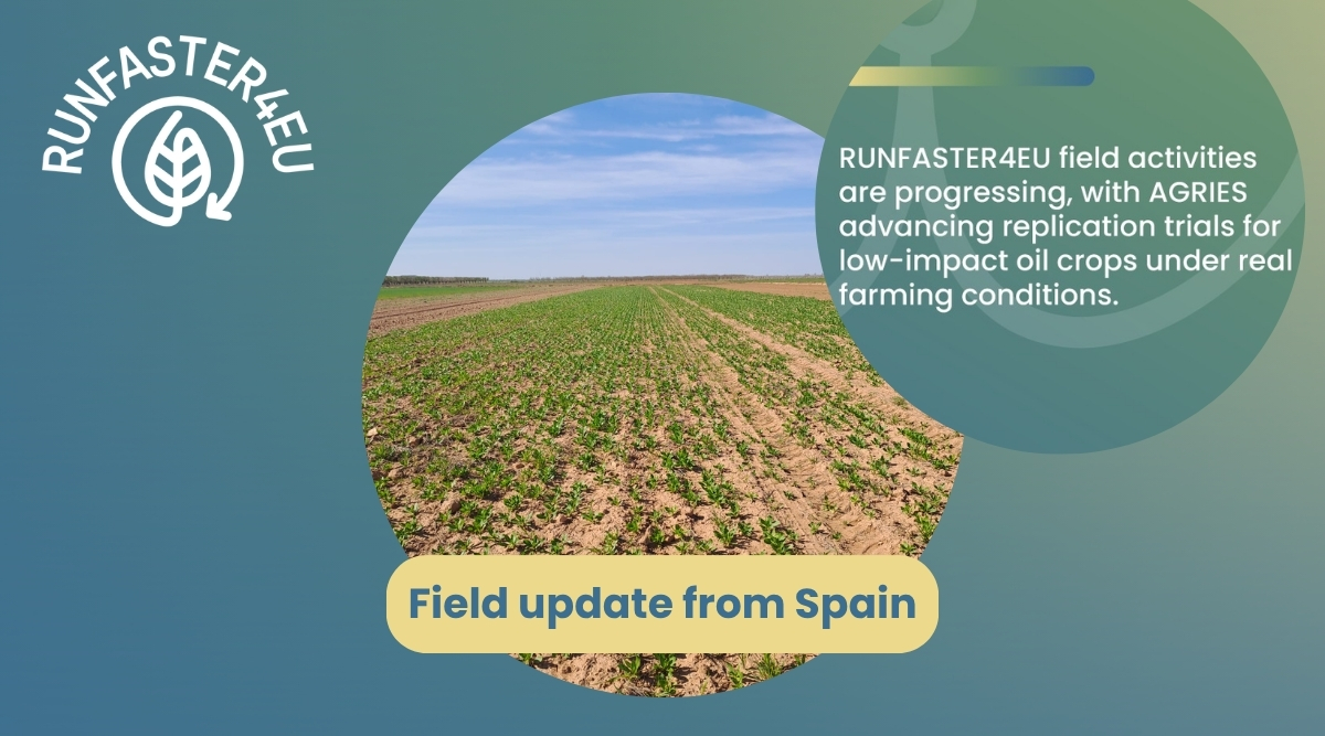 Field-Progress-in-Spain-inpage