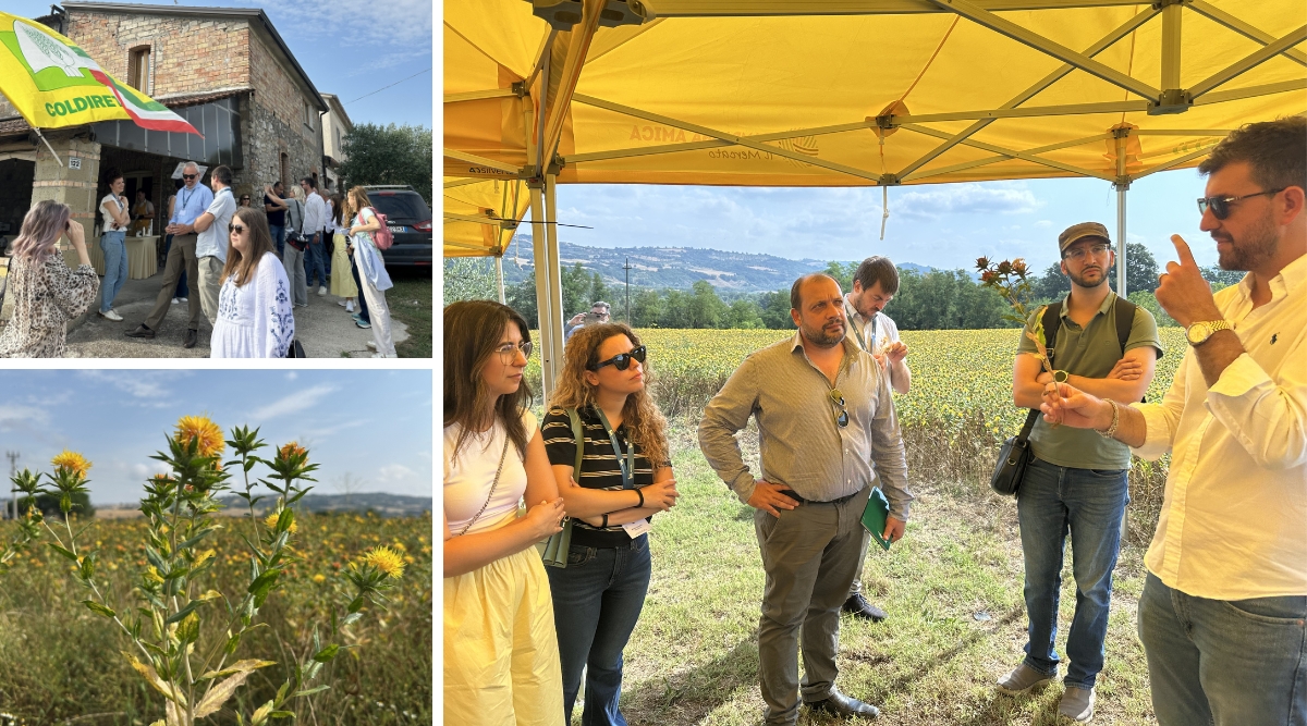 general-assembly-from-project-meetings-to-field-visits