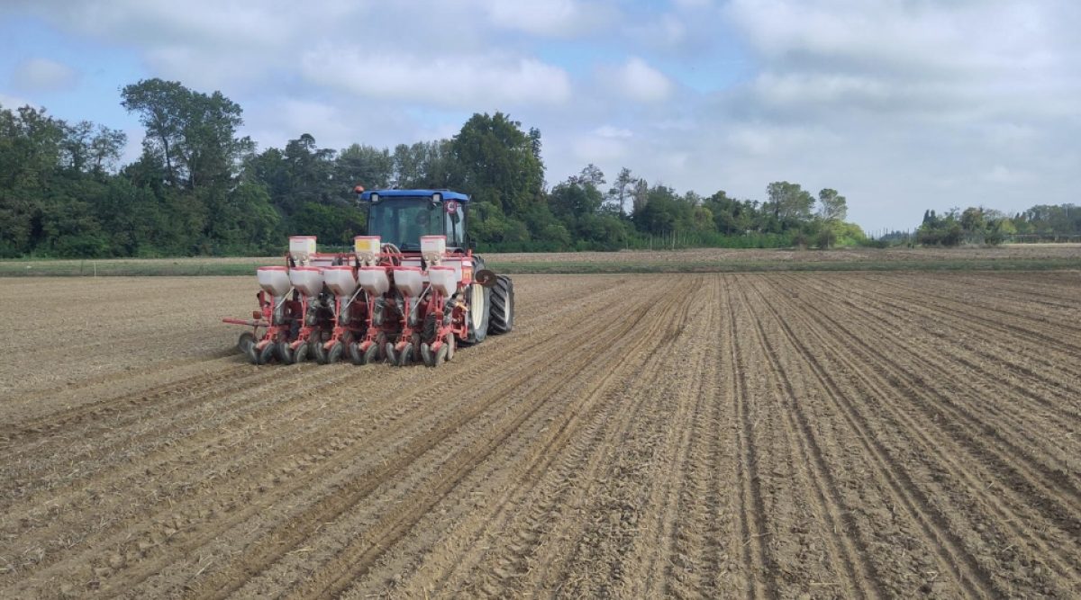 inpage-Field Trials in Action Updates from Italy and Serbia